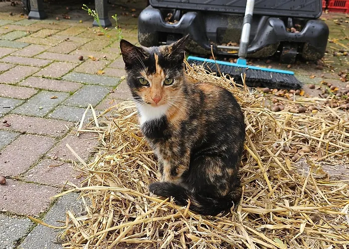 Ham Annex Met Prive Jacuzzi